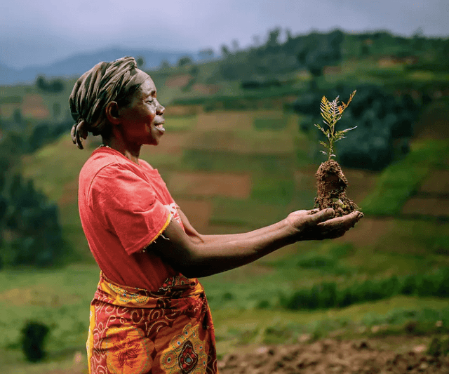 Plant a Tree - Veneka-Sustainable-Ethical-Jewelry-Veneka